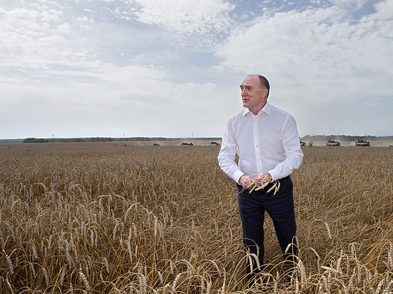 В Челябинской области уборка зерновых идет с опережением графика
